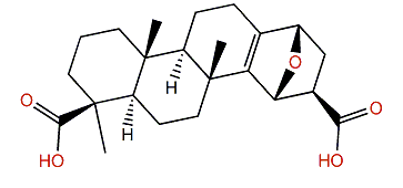 Ceylonin F